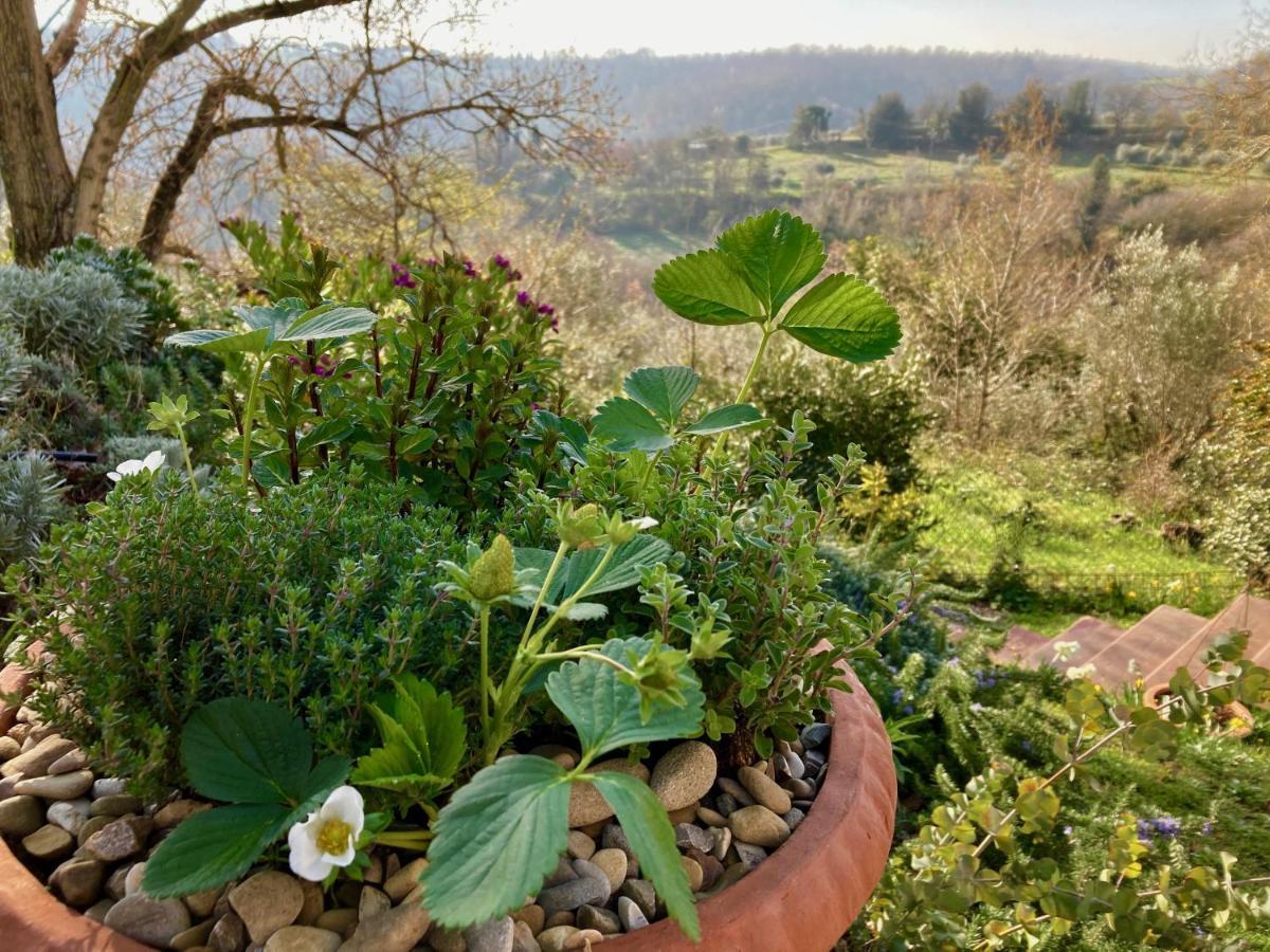 Grove Cottage: Immersed In Nature & Close To Town Città della Pieve Dış mekan fotoğraf
