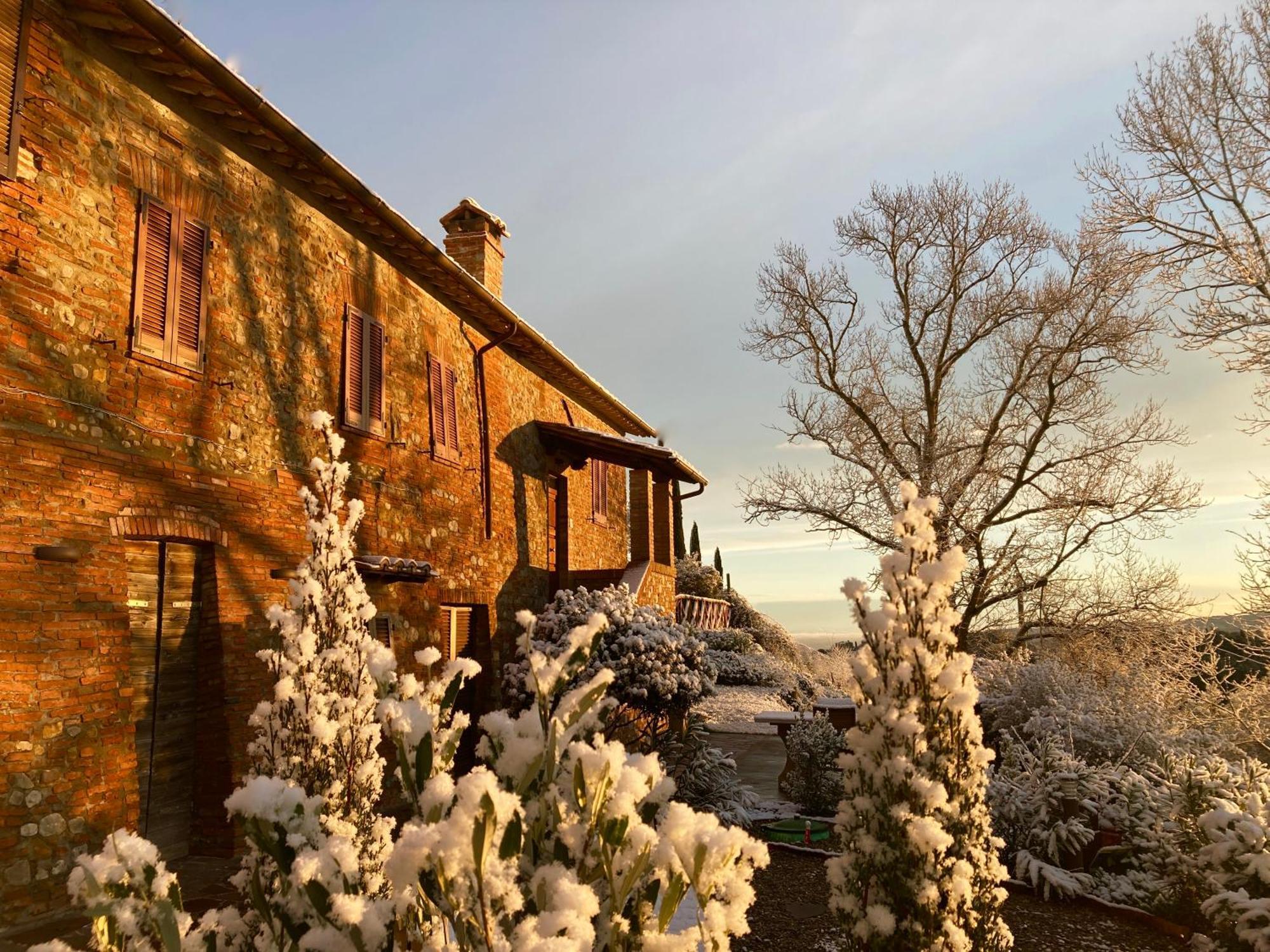 Grove Cottage: Immersed In Nature & Close To Town Città della Pieve Dış mekan fotoğraf